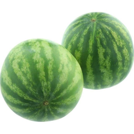 PASTEQUE QWETZALY KG